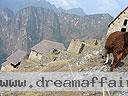 Machu-Picchu-021